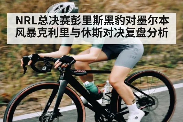 NRL总决赛彭里斯黑豹对墨尔本风暴克利里与休斯对决复盘分析（NineGames）
